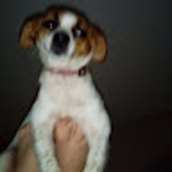 Meet your Posher, Alexis - Picture 1 of 1